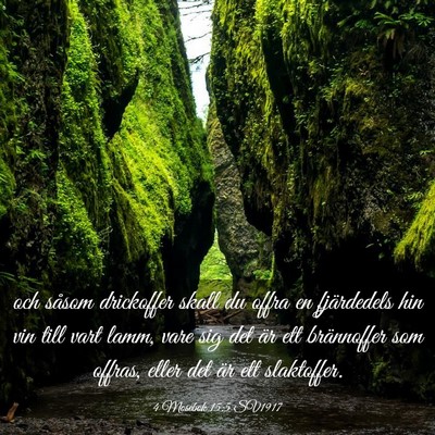 Picture 03 - 4 Mosebok 15:5 SV1917 - och såsom drickoffer skall du offra en - Bible Verse Picture