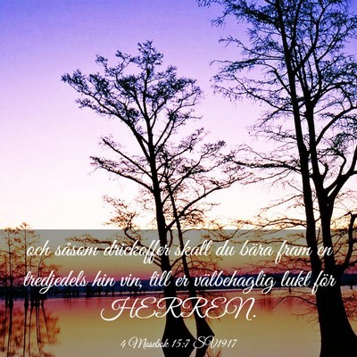 Picture 03 - 4 Mosebok 15:7 SV1917 - och såsom drickoffer skall du bära fram en - Bible Verse Picture