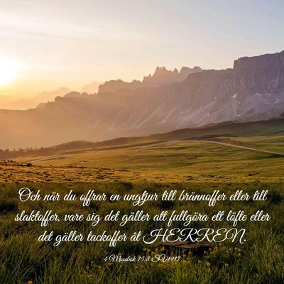 Picture 03 - 4 Mosebok 15:8 SV1917 - Och när du offrar en ungtjur till brännoffer - Bible Verse Picture