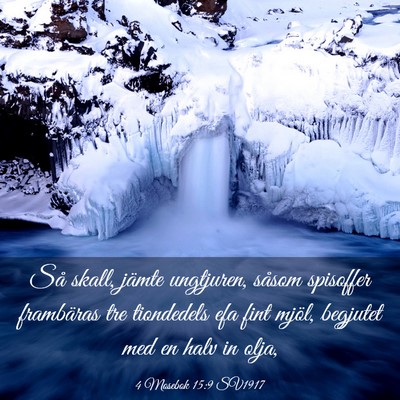 Picture 03 - 4 Mosebok 15:9 SV1917 - Så skall, jämte ungtjuren, såsom spisoffer - Bible Verse Picture