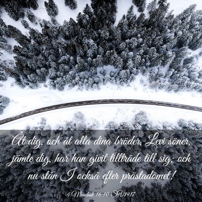 Picture 03 - 4 Mosebok 16:10 SV1917 - Åt dig, och åt alla dina bröder, Levi söner, - Bible Verse Picture