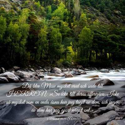 Picture 03 - 4 Mosebok 16:15 SV1917 - Då blev Mose mycket vred och sade till HERREN: - Bible Verse Picture