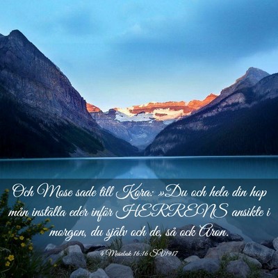 Picture 03 - 4 Mosebok 16:16 SV1917 - Och Mose sade till Kora: »Du och hela din hop - Bible Verse Picture