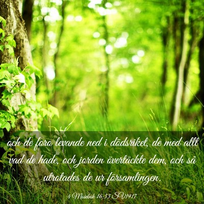 Picture 03 - 4 Mosebok 16:33 SV1917 - och de foro levande ned i dödsriket, de med allt - Bible Verse Picture