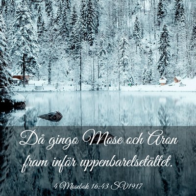 Picture 03 - 4 Mosebok 16:43 SV1917 - Då gingo Mose och Aron fram inför - Bible Verse Picture