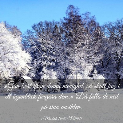 Picture 03 - 4 Mosebok 16:45 SV1917 - »Gån bort ifrån denna menighet, så skall jag - Bible Verse Picture