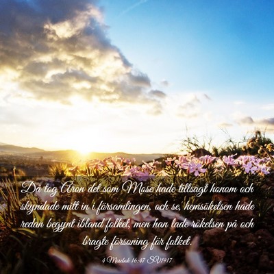 Picture 03 - 4 Mosebok 16:47 SV1917 - Då tog Aron det som Mose hade tillsagt honom och - Bible Verse Picture