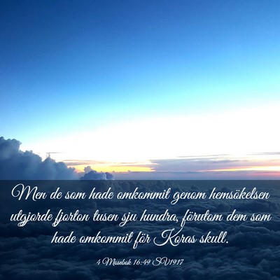 Picture 03 - 4 Mosebok 16:49 SV1917 - Men de som hade omkommit genom hemsökelsen - Bible Verse Picture