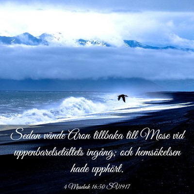 Picture 03 - 4 Mosebok 16:50 SV1917 - Sedan vände Aron tillbaka till Mose vid - Bible Verse Picture