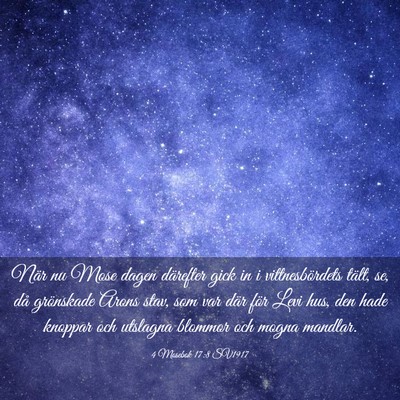 Picture 03 - 4 Mosebok 17:8 SV1917 - När nu Mose dagen därefter gick in i - Bible Verse Picture