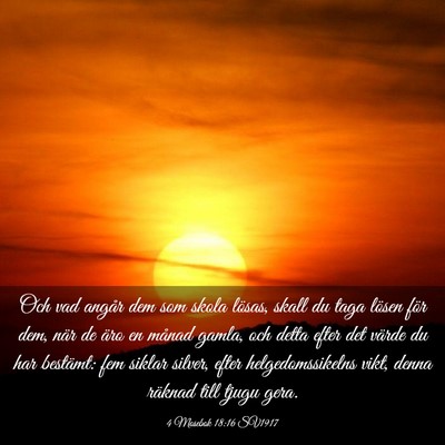 Picture 03 - 4 Mosebok 18:16 SV1917 - Och vad angår dem som skola lösas, skall du - Bible Verse Picture