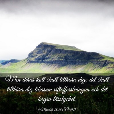 Picture 03 - 4 Mosebok 18:18 SV1917 - Men deras kött skall tillhöra dig; det skall - Bible Verse Picture