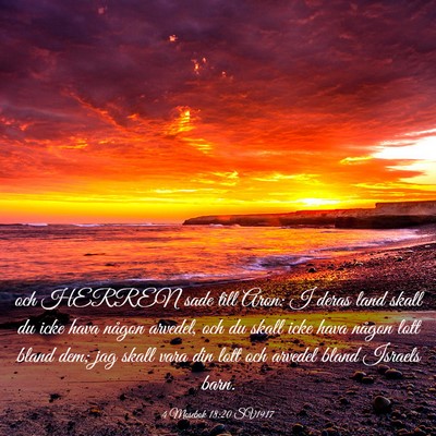 Picture 03 - 4 Mosebok 18:20 SV1917 - och HERREN sade till Aron: I deras land skall du - Bible Verse Picture
