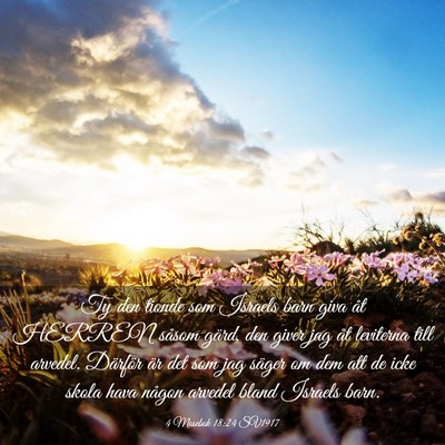 Picture 03 - 4 Mosebok 18:24 SV1917 - Ty den tionde som Israels barn giva åt HERREN - Bible Verse Picture