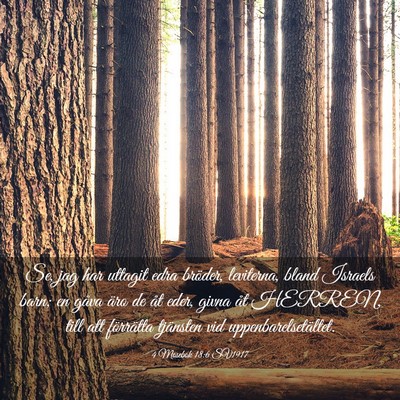 Picture 03 - 4 Mosebok 18:6 SV1917 - Se, jag har uttagit edra bröder, leviterna, - Bible Verse Picture