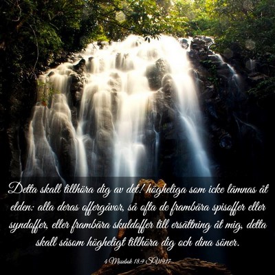 Picture 03 - 4 Mosebok 18:9 SV1917 - Detta skall tillhöra dig av det! högheliga som - Bible Verse Picture