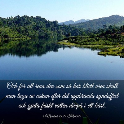 Picture 03 - 4 Mosebok 19:17 SV1917 - Och för att rena den som så har blivit oren - Bible Verse Picture