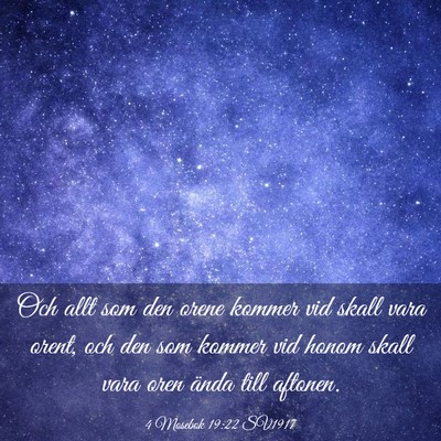 Picture 03 - 4 Mosebok 19:22 SV1917 - Och allt som den orene kommer vid skall vara - Bible Verse Picture