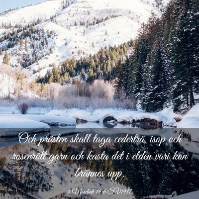 Picture 03 - 4 Mosebok 19:6 SV1917 - Och prästen skall taga cederträ, isop och - Bible Verse Picture