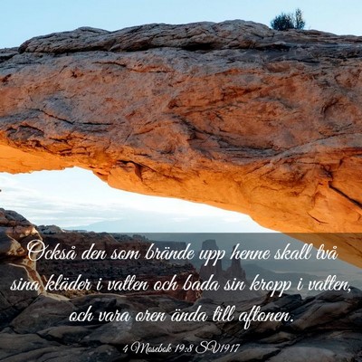 Picture 03 - 4 Mosebok 19:8 SV1917 - Också den som brände upp henne skall två sina - Bible Verse Picture