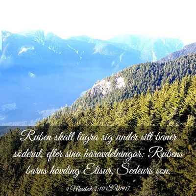 Picture 03 - 4 Mosebok 2:10 SV1917 - Ruben skall lägra sig under sitt baner söderut, - Bible Verse Picture