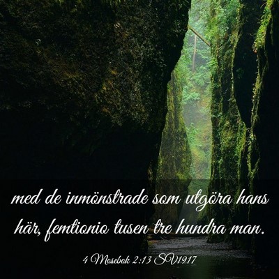 Picture 03 - 4 Mosebok 2:13 SV1917 - med de inmönstrade som utgöra hans här, - Bible Verse Picture