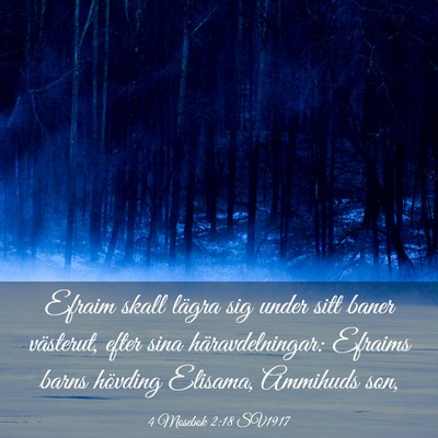 Picture 03 - 4 Mosebok 2:18 SV1917 - Efraim skall lägra sig under sitt baner - Bible Verse Picture