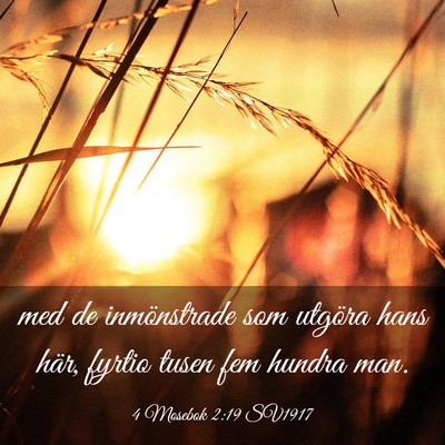 Picture 03 - 4 Mosebok 2:19 SV1917 - med de inmönstrade som utgöra hans här, fyrtio - Bible Verse Picture