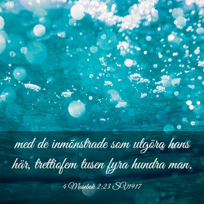 Picture 03 - 4 Mosebok 2:23 SV1917 - med de inmönstrade som utgöra hans här, - Bible Verse Picture