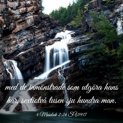 Picture 03 - 4 Mosebok 2:26 SV1917 - med de inmönstrade som utgöra hans här, - Bible Verse Picture