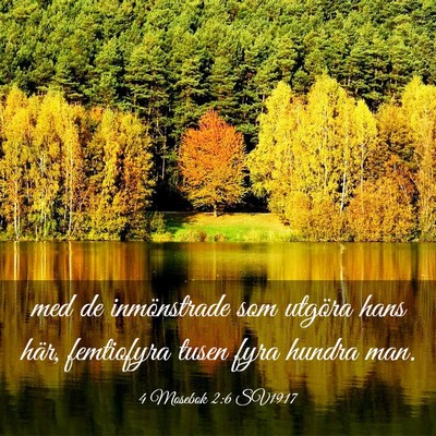 Picture 03 - 4 Mosebok 2:6 SV1917 - med de inmönstrade som utgöra hans här, - Bible Verse Picture