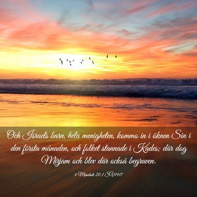 Picture 03 - 4 Mosebok 20:1 SV1917 - Och Israels barn, hela menigheten, kommo in i - Bible Verse Picture