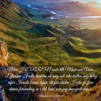 Picture 03 - 4 Mosebok 20:12 SV1917 - Men HERREN sade till Mose och Aron: »Eftersom I - Bible Verse Picture