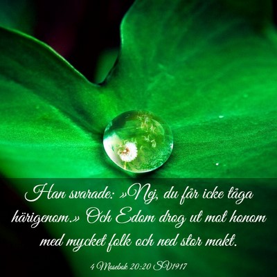 Picture 03 - 4 Mosebok 20:20 SV1917 - Han svarade: »Nej, du får icke tåga - Bible Verse Picture