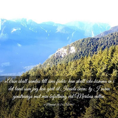 Picture 03 - 4 Mosebok 20:24 SV1917 - »Aron skall samlas till sina fäder: han skall - Bible Verse Picture