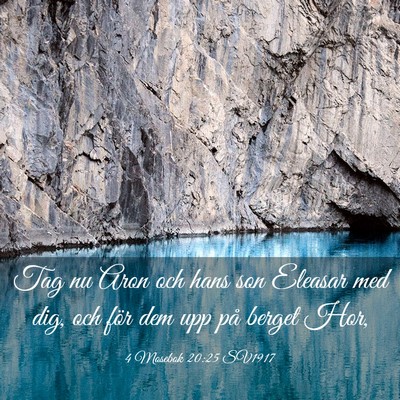 Picture 03 - 4 Mosebok 20:25 SV1917 - Tag nu Aron och hans son Eleasar med dig, och - Bible Verse Picture