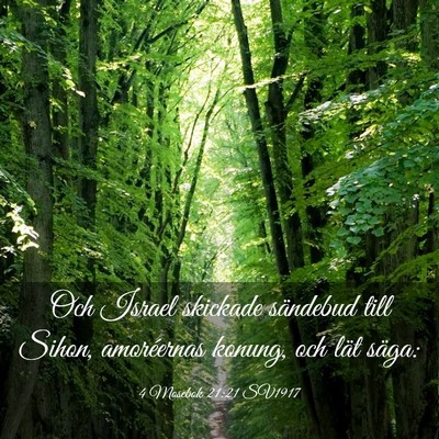 Picture 03 - 4 Mosebok 21:21 SV1917 - Och Israel skickade sändebud till Sihon, - Bible Verse Picture