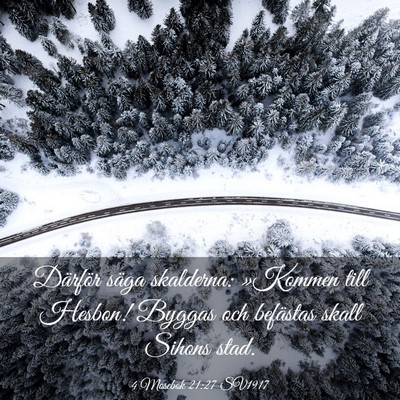 Picture 03 - 4 Mosebok 21:27 SV1917 - Därför säga skalderna: »Kommen till Hesbon! - Bible Verse Picture