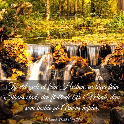 Picture 03 - 4 Mosebok 21:28 SV1917 - Ty eld gick ut från Hesbon, en låga från - Bible Verse Picture