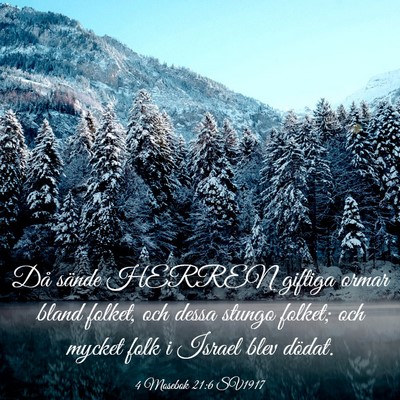 Picture 03 - 4 Mosebok 21:6 SV1917 - Då sände HERREN giftiga ormar bland folket, och - Bible Verse Picture