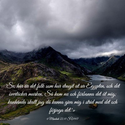 Picture 03 - 4 Mosebok 22:11 SV1917 - 'Se, här är det folk som har dragit ut ur - Bible Verse Picture