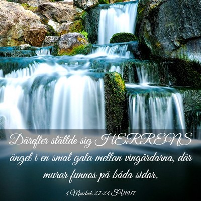 Picture 03 - 4 Mosebok 22:24 SV1917 - Därefter ställde sig HERRENS ängel i en smal - Bible Verse Picture