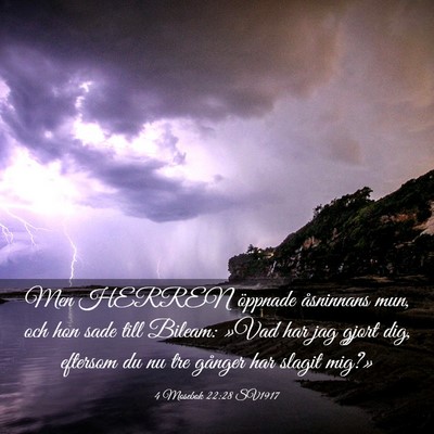 Picture 03 - 4 Mosebok 22:28 SV1917 - Men HERREN öppnade åsninnans mun, och hon sade - Bible Verse Picture