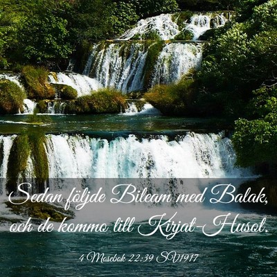 Picture 03 - 4 Mosebok 22:39 SV1917 - Sedan följde Bileam med Balak, och de kommo till - Bible Verse Picture