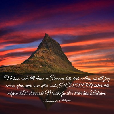 Picture 03 - 4 Mosebok 22:8 SV1917 - Och han sade till dem: »Stannen här över - Bible Verse Picture