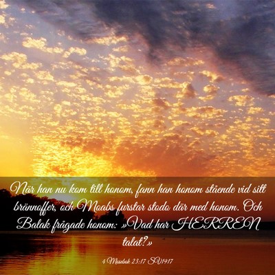 Picture 03 - 4 Mosebok 23:17 SV1917 - När han nu kom till honom, fann han honom - Bible Verse Picture