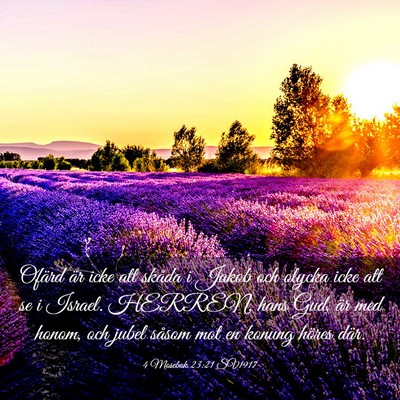 Picture 03 - 4 Mosebok 23:21 SV1917 - Ofärd är icke att skåda i Jakob och olycka - Bible Verse Picture