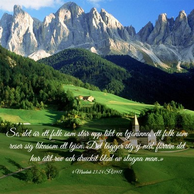 Picture 03 - 4 Mosebok 23:24 SV1917 - Se, det är ett folk som står upp likt en - Bible Verse Picture
