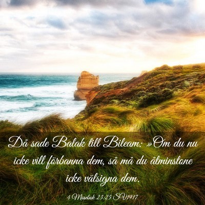 Picture 03 - 4 Mosebok 23:25 SV1917 - Då sade Balak till Bileam: »Om du nu icke vill - Bible Verse Picture