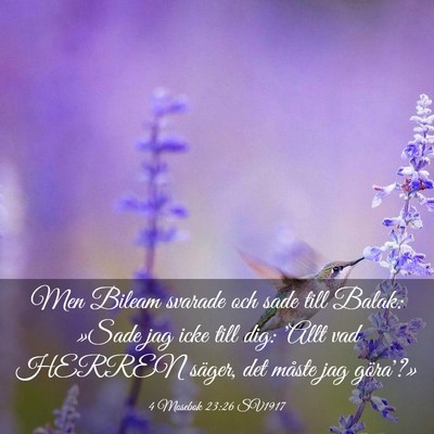 Picture 03 - 4 Mosebok 23:26 SV1917 - Men Bileam svarade och sade till Balak: »Sade - Bible Verse Picture